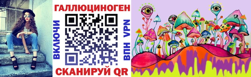 kraken зеркало  Купино  Галлюциногенные грибы Psilocybine cubensis 