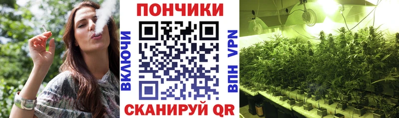 Бошки Шишки планчик  kraken как войти  Купино 